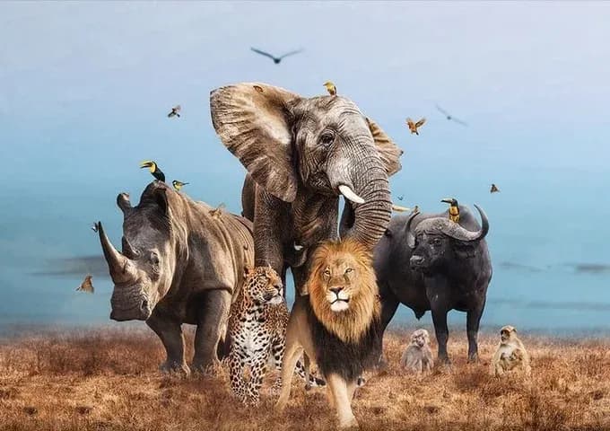 Maasai Mara Big Five Safari (3D2N)