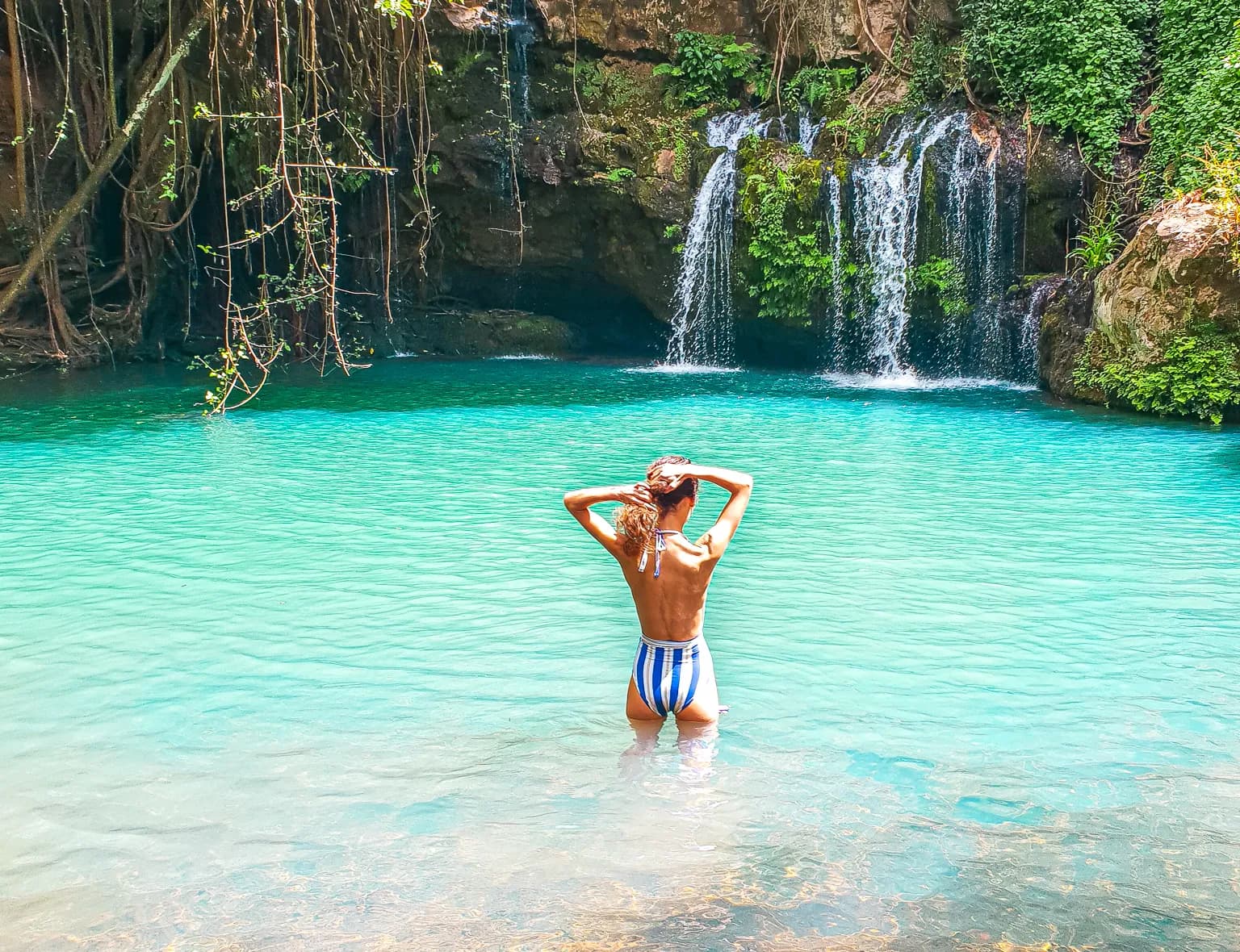 Ngare Ndare Forest Canopy & Blue Pools